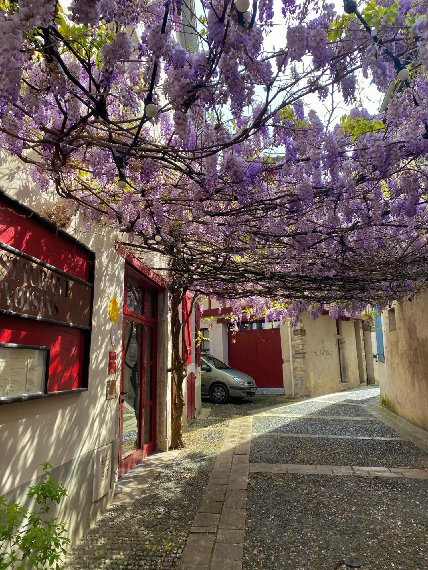 Agreable Petit Gite Avec Piscine Et Jardinet ซาลีส์-เดอ-เบอาร์น ภายนอก รูปภาพ